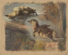 Study of Ducks on the Water I. by Friedrich Carl von Scheidlin