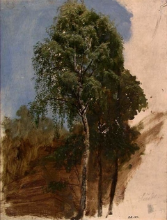Study of Trees by Adolph Tidemand