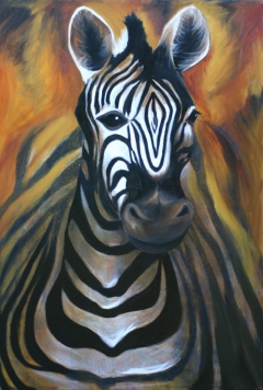 The African Zebra