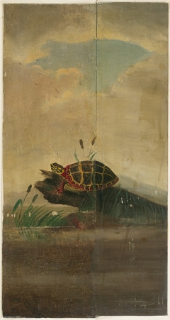 Tortoise Resting on a Log