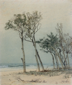 Trees on the Jersey Shore by William Trost Richards