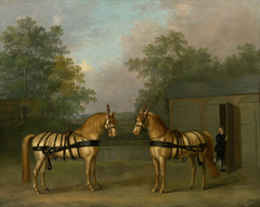 Two Coach Horses