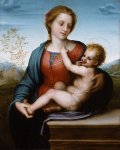 Virgin and Child by Andrea del Sarto