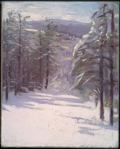 Winter Scene by Abbott Handerson Thayer
