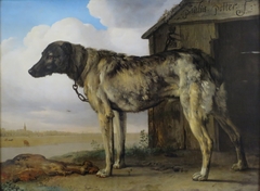 Wolf-Hound by Paulus Potter