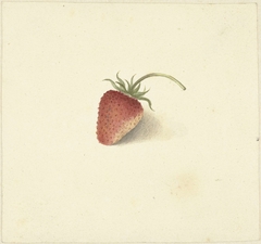 Aardbei by Elisabeth Geertruida van de Kasteele