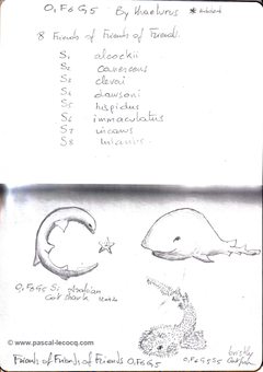 Carnet Bleu: Encyclopedia of…shark, vol.III p16 by Pascal by Pascal Lecocq