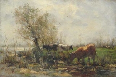 Cattle at a watering place