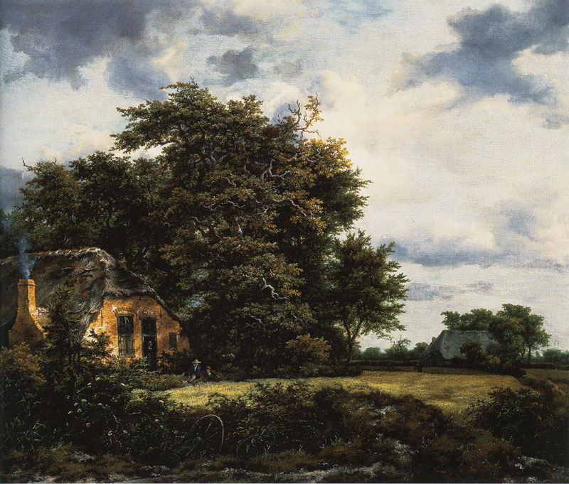Cottage under Trees near a Grainfield