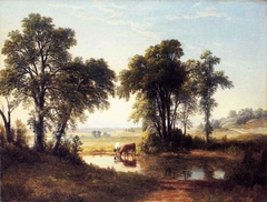 Cows in a New Hampshire Landscape