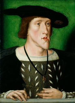 Emperor Charles V (1500-58) by Anonymous