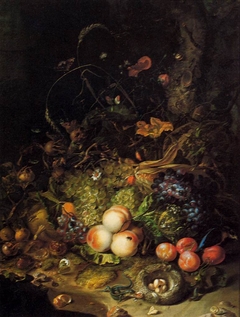Flowers, fruit,  reptiles, and insects on the edge of a wood by Rachel Ruysch