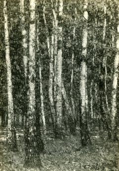Forest interior (1901) by Christian Rohlfs