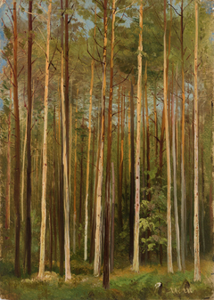 Forest. Study by Ivan Shishkin
