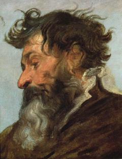 Head of a man in profile facing left by Sir Anthony van Dyck
