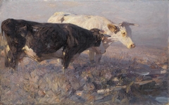 Kühe im Moor by Heinrich von Zügel