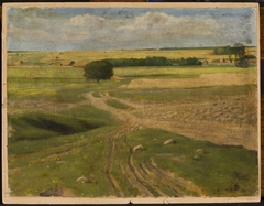 Landscape of fields by Leon Szpądrowski