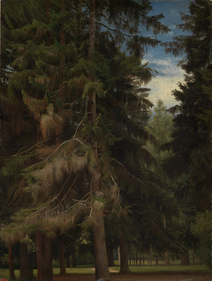 Lichtung im Tannenwald by Johann Wilhelm Schirmer