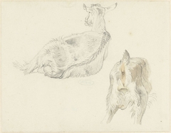 Liggende en staande geit, van achteren by Josephus Augustus Knip