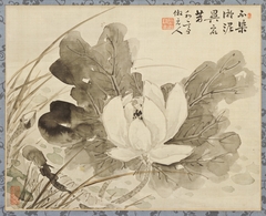Lotus in Bloom by Katei Taki