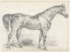 Paard van opzij gezien by J.C. Kerkhoven