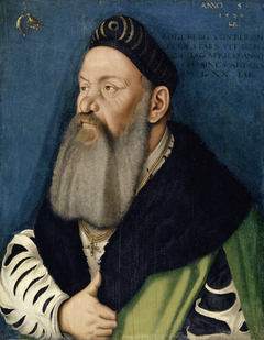 Portrait of Adelberg III. of Bärenfels by Hans Baldung Grien