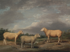 Ryelands Sheep, the King's Ram, the King's Ewe and Lord Somerville's Wether by James Ward