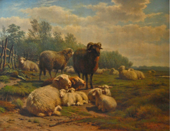 Schapen in weide by Frans Lebret