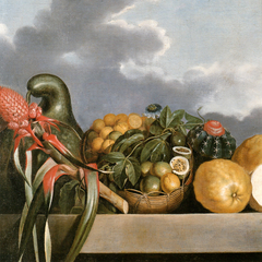 Still-life of gourds, passion fruit, citrus fruits and cactus