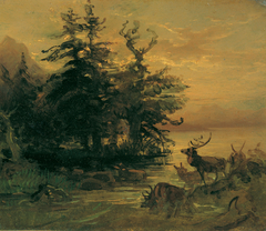 Suhlende Hirsche am Ufer eines Bergsees by Friedrich Gauermann