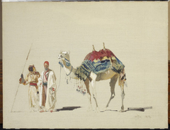 Sultan’s white camel, sketch by Stanisław Chlebowski