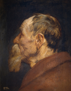 The Head of an Old Man by Anthony van Dyck