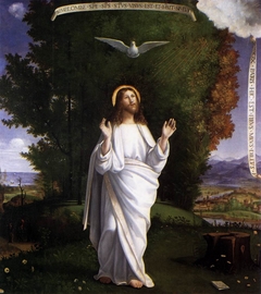 Transfiguration by Andrea Previtali