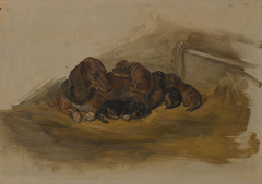 "Waldina" and her Puppies by Friedrich Wilhelm Keyl
