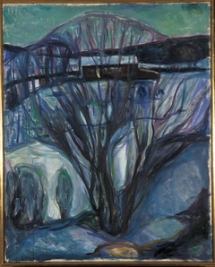 Winter Night by Edvard Munch